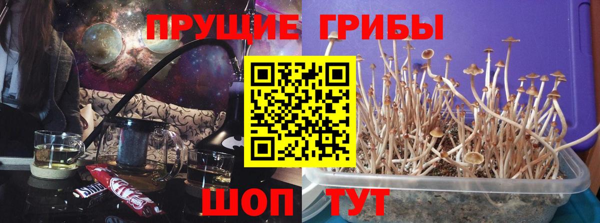 Галлюциногенные грибы Cubensis  Вход с VPN  Кореновск  Псилоцибиновые грибы MAGIC MUSHROOMS 